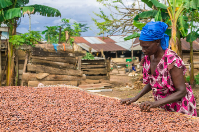 Combined industry action on improving farmer pay for the cocoa sector ...