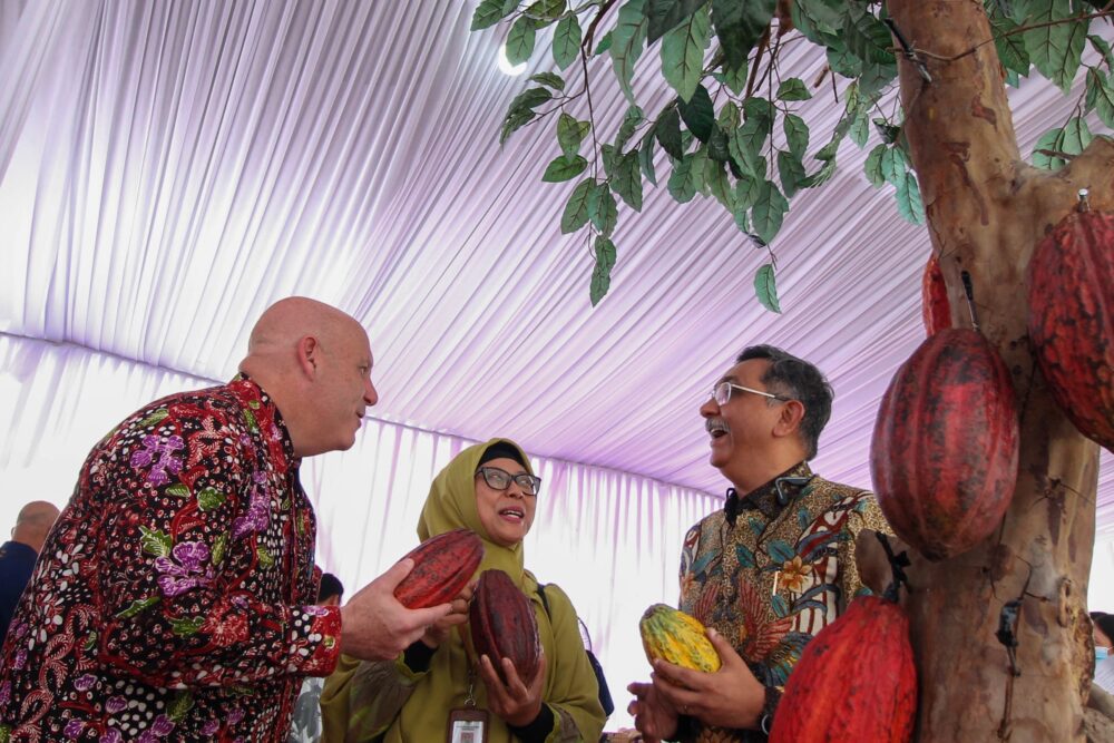 USAID teams with Hershey, Rikolto, and PT. Olam for Indonesian cocoa farming scheme - Vimarsana News