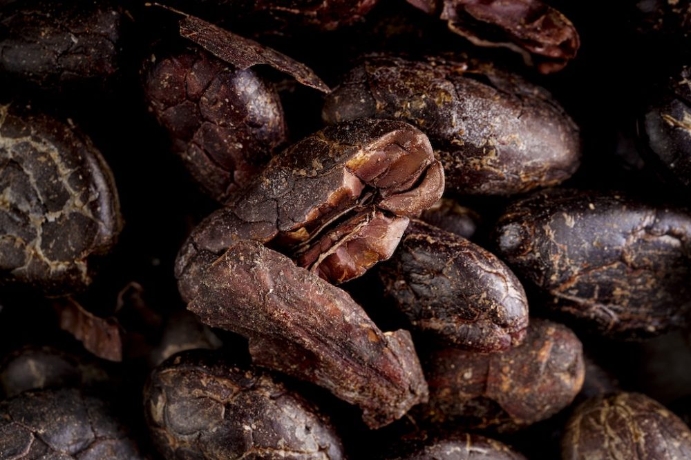 Italy’s Domori makes first own-brand series for UK’s B2B market