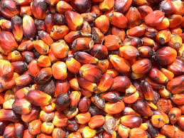palm oil