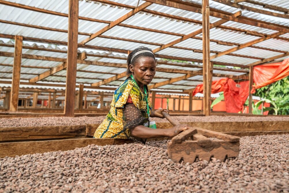 Ghana's cocoa sector explores medicinal use of crops with major study