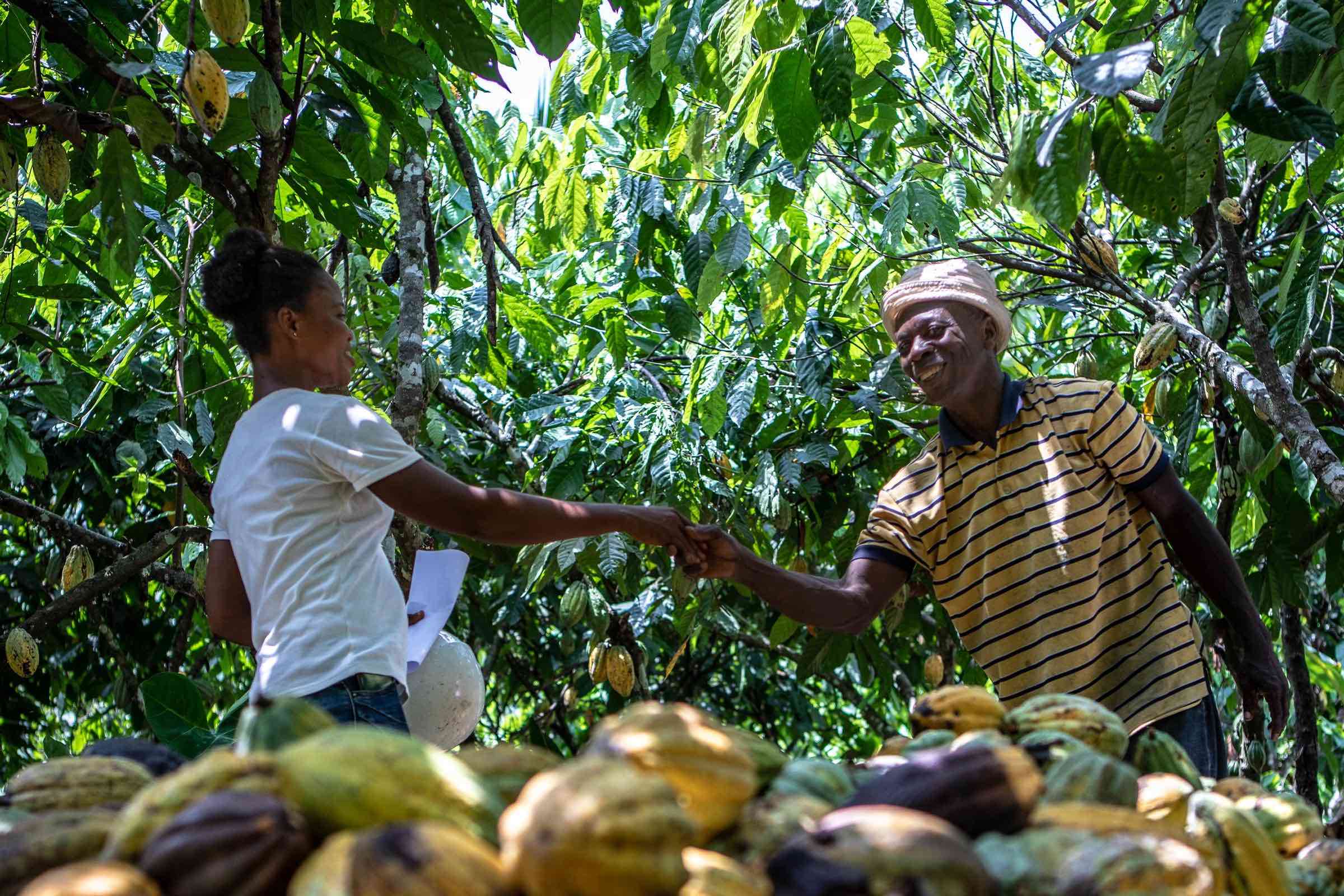 Fairtrade International strengthens its key human rights and hired labour standards